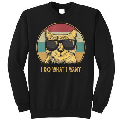 Retro I Do What I Want Cat Funny Cat Lover Sweatshirt