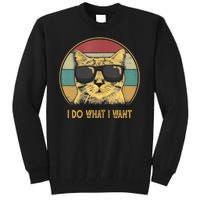 Retro I Do What I Want Cat Funny Cat Lover Tall Sweatshirt