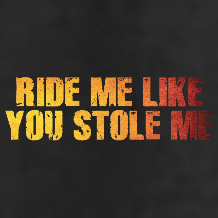 Ride Me Like You Stole Me Adult Drive Performance Visor
