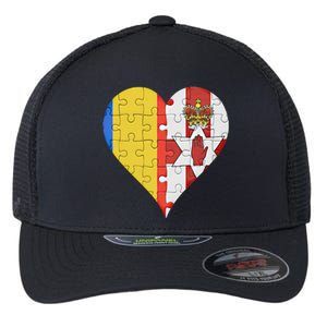 Roian Irish Flag Heart Gift Flexfit Unipanel Trucker Cap