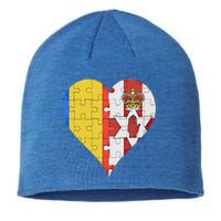 Roian Irish Flag Heart Gift Sustainable Beanie