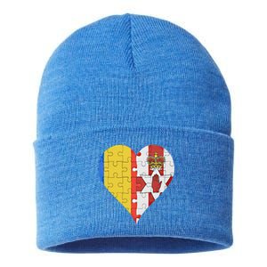 Roian Irish Flag Heart Gift Sustainable Knit Beanie