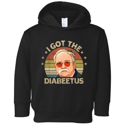 Retro I Got The Diabeetus Funny Diabetes Type 1 2 Awareness Toddler Hoodie