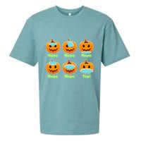 Right And Wrong Way To Wear Masks Pumpkins Sueded Cloud Jersey T-Shirt