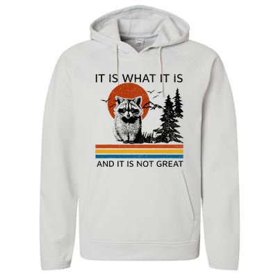 Raccoon It Is What It Is And It Is Not Great Performance Fleece Hoodie