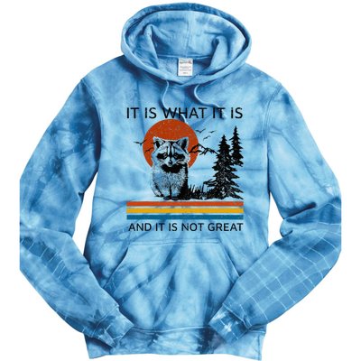 Raccoon It Is What It Is And It Is Not Great Tie Dye Hoodie