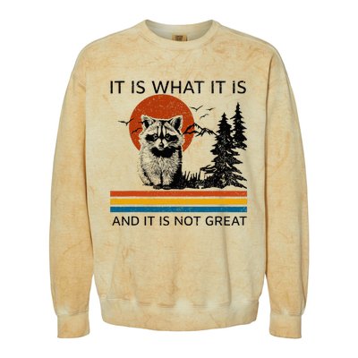 Raccoon It Is What It Is And It Is Not Great Colorblast Crewneck Sweatshirt