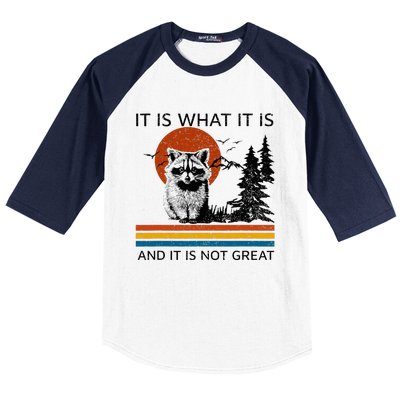 Raccoon It Is What It Is And It Is Not Great Baseball Sleeve Shirt