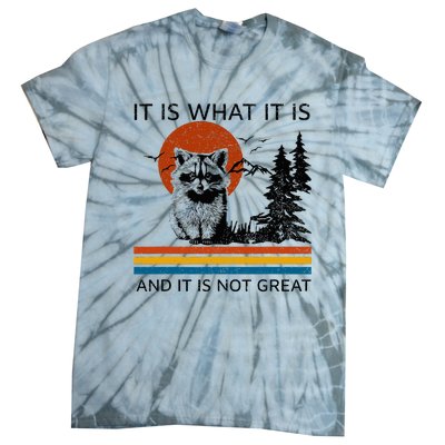 Raccoon It Is What It Is And It Is Not Great Tie-Dye T-Shirt