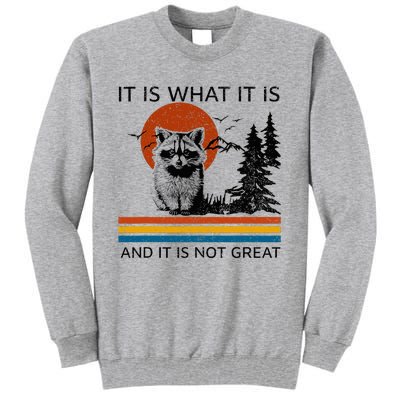 Raccoon It Is What It Is And It Is Not Great Tall Sweatshirt