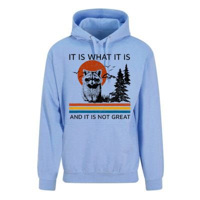 Raccoon It Is What It Is And It Is Not Great Unisex Surf Hoodie