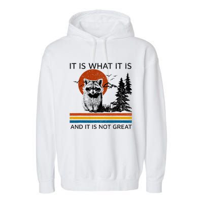 Raccoon It Is What It Is And It Is Not Great Garment-Dyed Fleece Hoodie