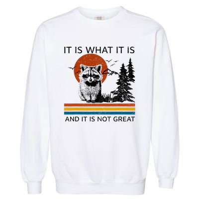 Raccoon It Is What It Is And It Is Not Great Garment-Dyed Sweatshirt