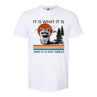 Raccoon It Is What It Is And It Is Not Great Softstyle CVC T-Shirt