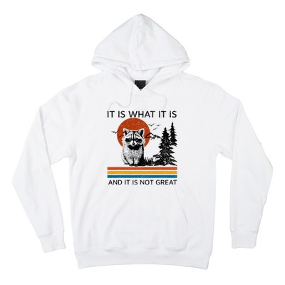 Raccoon It Is What It Is And It Is Not Great Hoodie