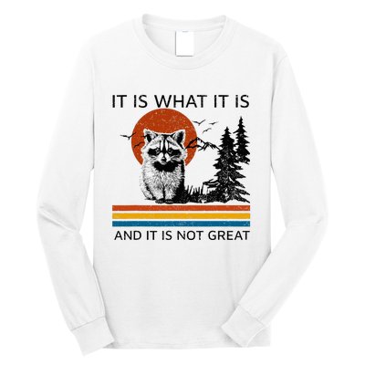 Raccoon It Is What It Is And It Is Not Great Long Sleeve Shirt