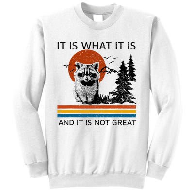 Raccoon It Is What It Is And It Is Not Great Sweatshirt