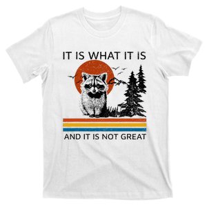 Raccoon It Is What It Is And It Is Not Great T-Shirt