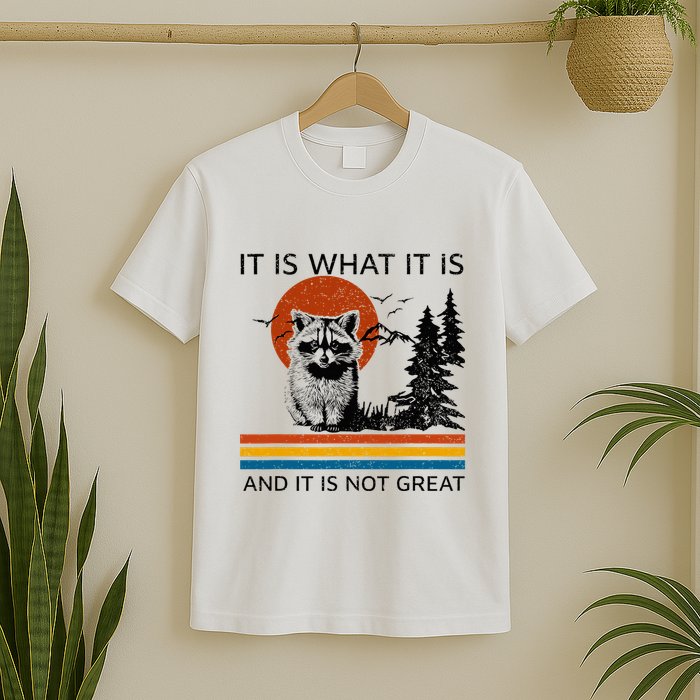 Raccoon It Is What It Is And It Is Not Great T-Shirt