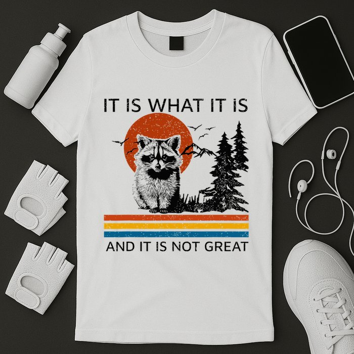 Raccoon It Is What It Is And It Is Not Great T-Shirt