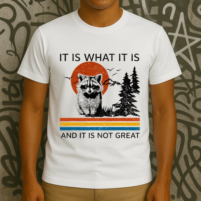 Raccoon It Is What It Is And It Is Not Great T-Shirt
