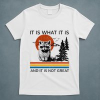 Raccoon It Is What It Is And It Is Not Great T-Shirt