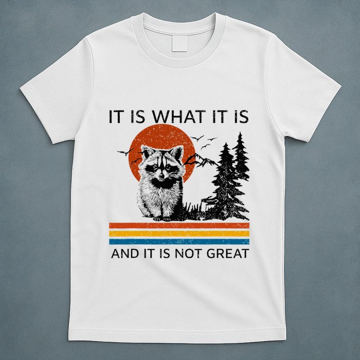 Raccoon It Is What It Is And It Is Not Great T-Shirt