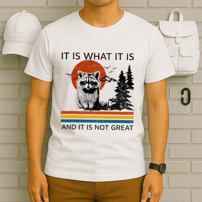 Raccoon It Is What It Is And It Is Not Great T-Shirt