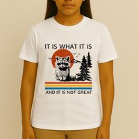 Raccoon It Is What It Is And It Is Not Great T-Shirt