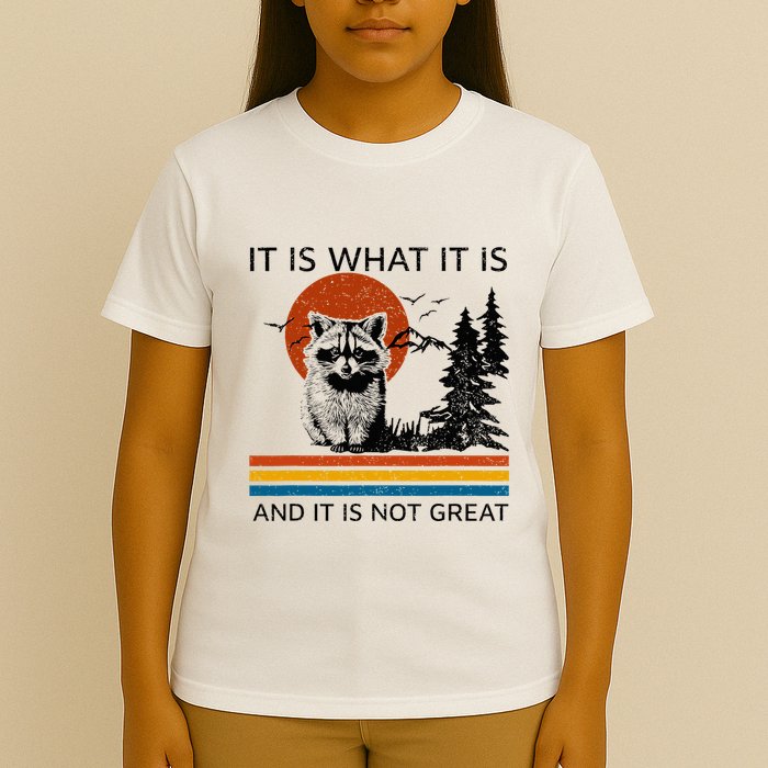 Raccoon It Is What It Is And It Is Not Great T-Shirt
