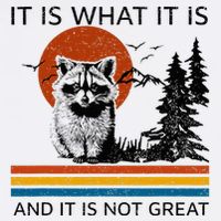 Raccoon It Is What It Is And It Is Not Great T-Shirt