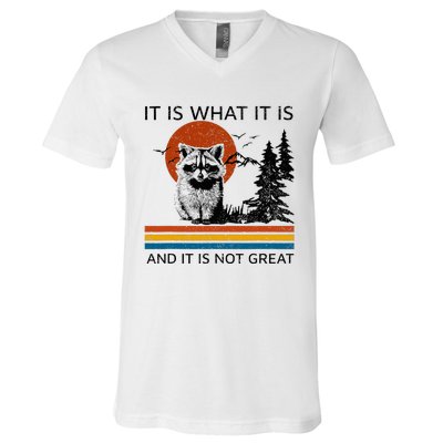 Raccoon It Is What It Is And It Is Not Great V-Neck T-Shirt