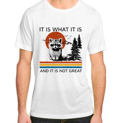 Raccoon It Is What It Is And It Is Not Great Adult ChromaSoft Performance T-Shirt