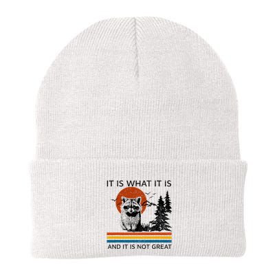 Raccoon It Is What It Is And It Is Not Great Knit Cap Winter Beanie