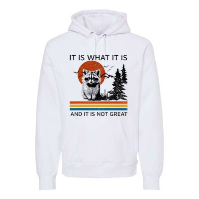 Raccoon It Is What It Is And It Is Not Great Premium Hoodie