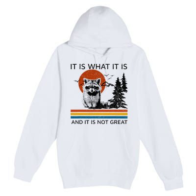 Raccoon It Is What It Is And It Is Not Great Premium Pullover Hoodie