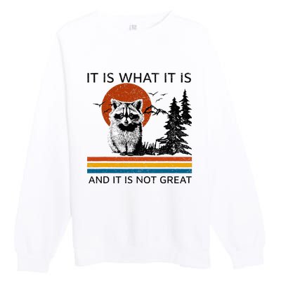 Raccoon It Is What It Is And It Is Not Great Premium Crewneck Sweatshirt