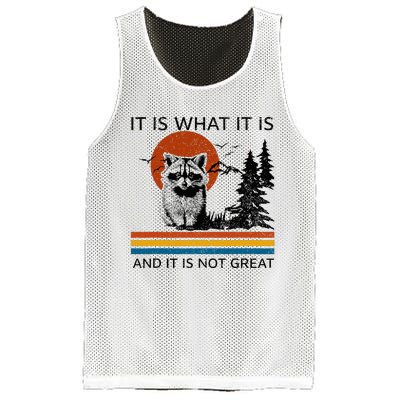 Raccoon It Is What It Is And It Is Not Great Mesh Reversible Basketball Jersey Tank