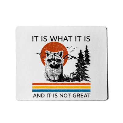 Raccoon It Is What It Is And It Is Not Great Mousepad