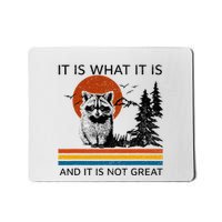 Raccoon It Is What It Is And It Is Not Great Mousepad