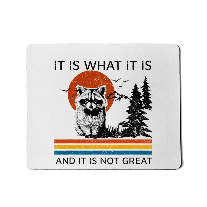 Raccoon It Is What It Is And It Is Not Great Mousepad