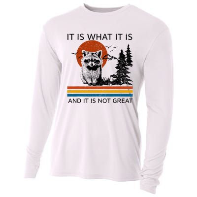 Raccoon It Is What It Is And It Is Not Great Cooling Performance Long Sleeve Crew