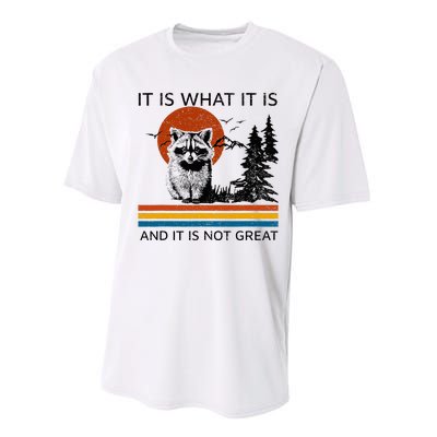 Raccoon It Is What It Is And It Is Not Great Performance Sprint T-Shirt