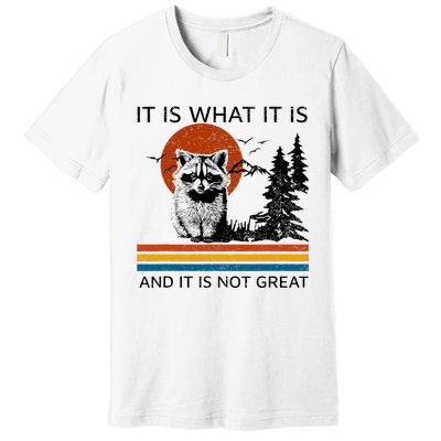 Raccoon It Is What It Is And It Is Not Great Premium T-Shirt