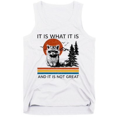 Raccoon It Is What It Is And It Is Not Great Tank Top