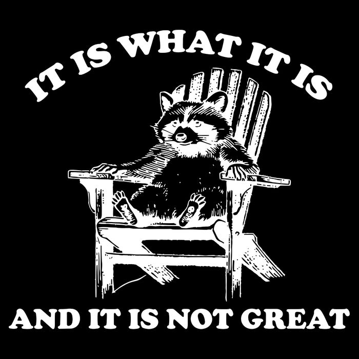 Raccoon It Is What It Is And It Is Not Great 16 in Basic Backpack