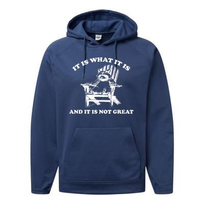 Raccoon It Is What It Is And It Is Not Great Performance Fleece Hoodie