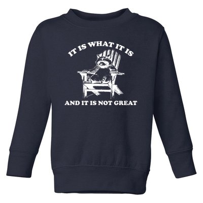 Raccoon It Is What It Is And It Is Not Great Toddler Sweatshirt