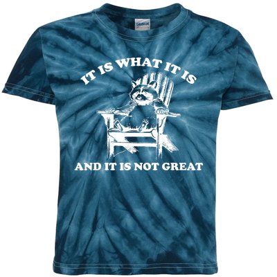 Raccoon It Is What It Is And It Is Not Great Kids Tie-Dye T-Shirt