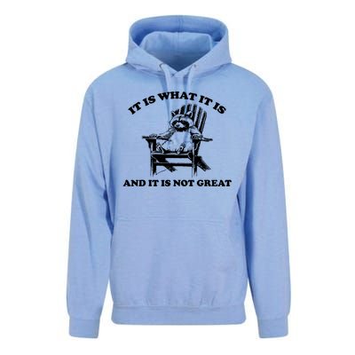 Raccoon It Is What It Is And It Is Not Great Unisex Surf Hoodie